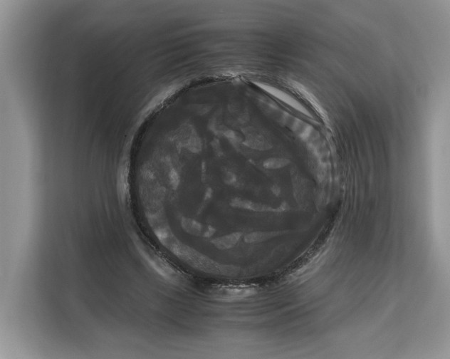 X0000111120443200907141154