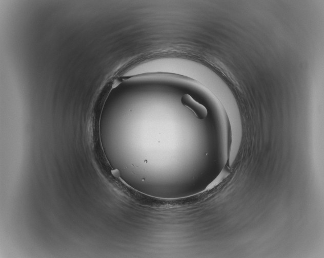 X0000111120444200907141154