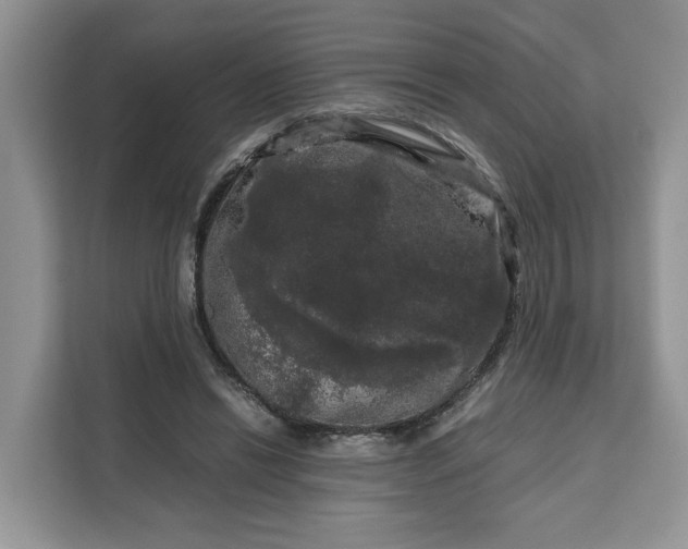 X0000111120446200907141154