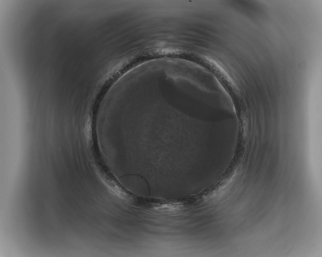 X0000111120447200907141154