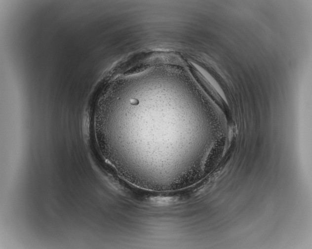 X0000111120448200907141154