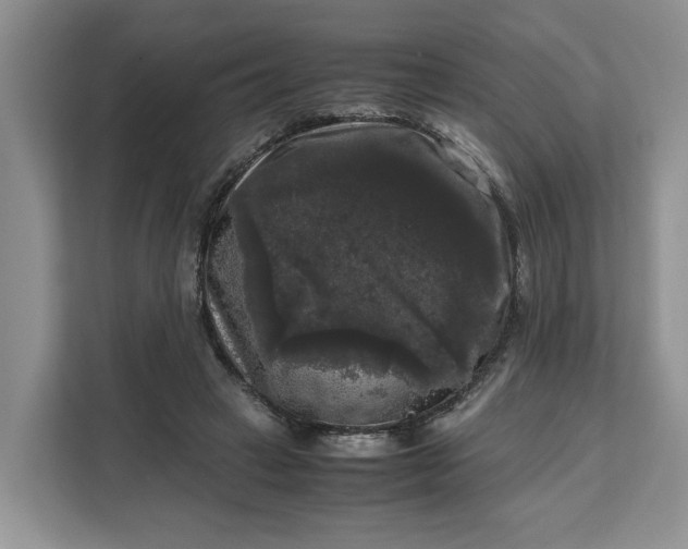 X0000111120449200907141154