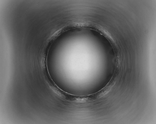 X0000111120450200907141154