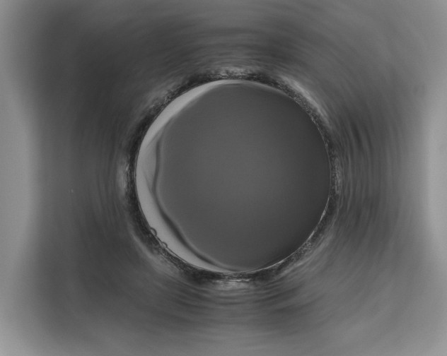 X0000111120451200907141154