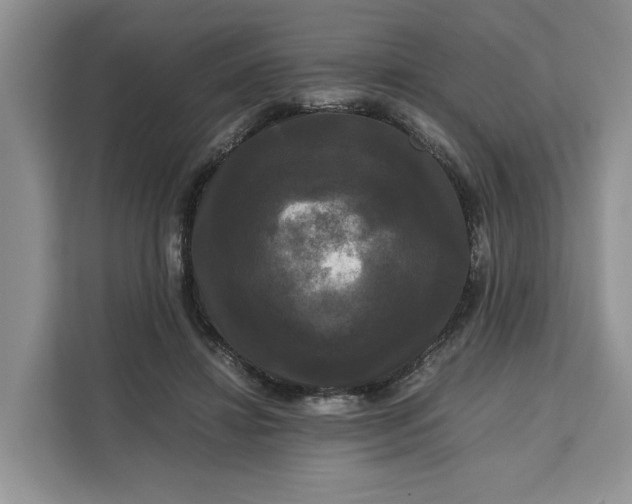 X0000111120452200907141154