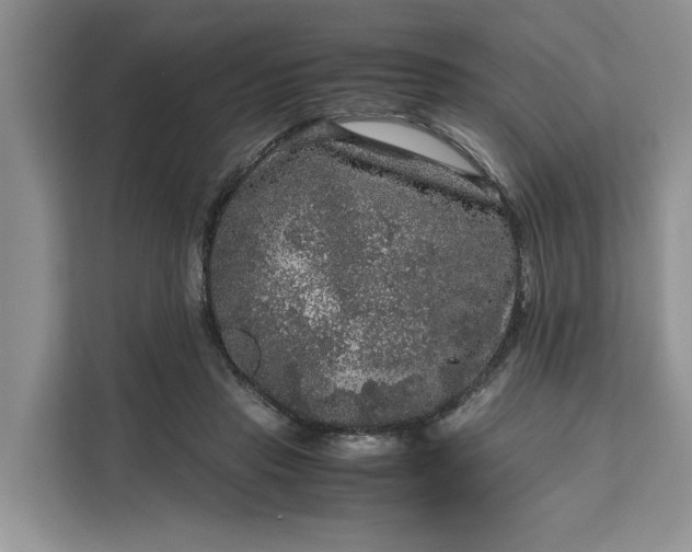 X0000111120453200907141154