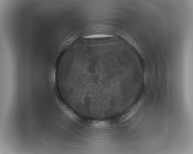 X0000111120454200907141154