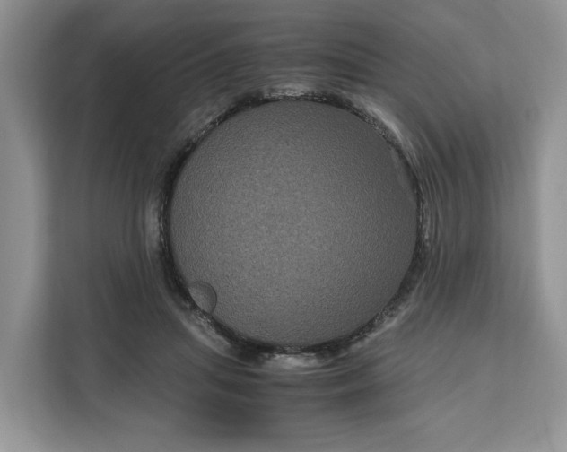 X0000111120455200907141154