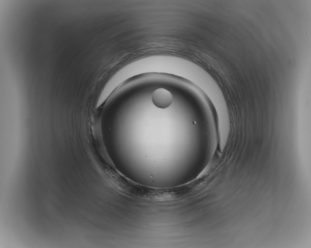 X0000111120456200907141154