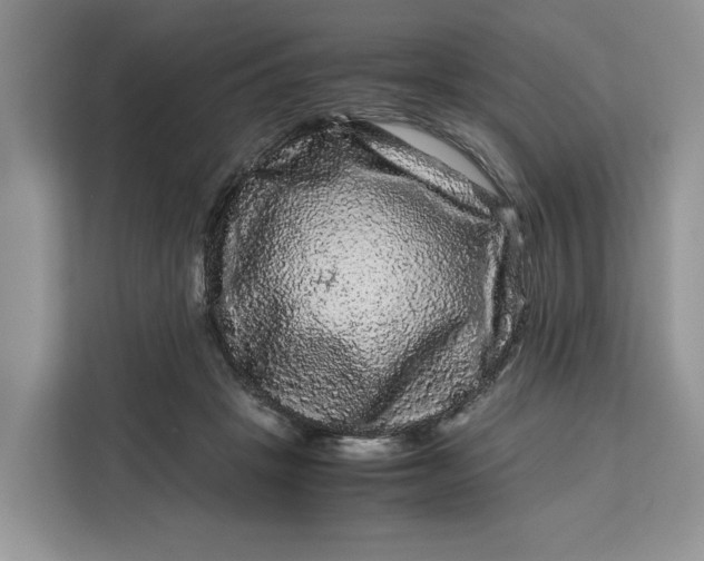 X0000111120457200907141154