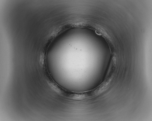 X0000111120458200907141154