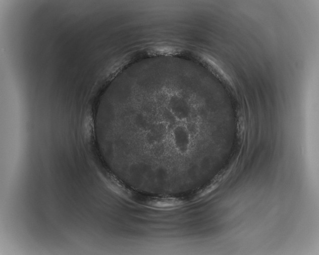 X0000111120459200907141154