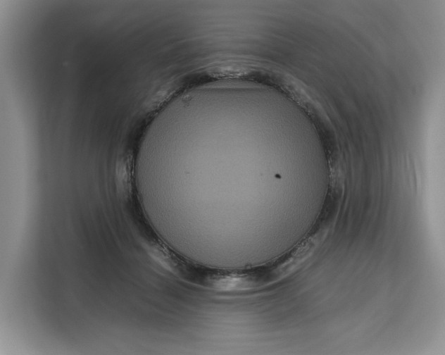 X0000111120460200907141154