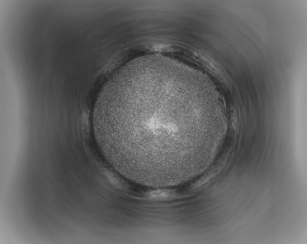 X0000111120461200907141154