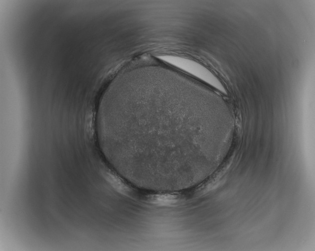 X0000111120462200907141154