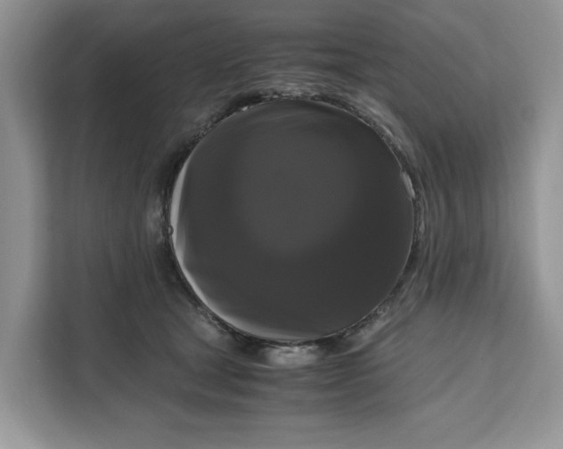 X0000111120465200907141154