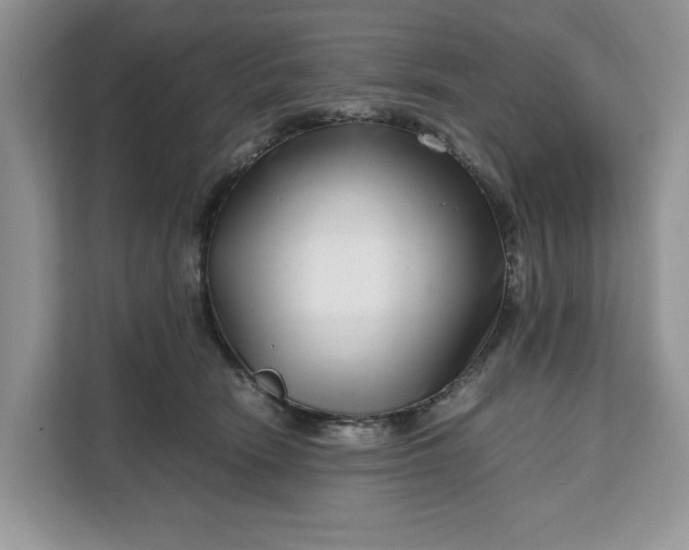 X0000111120466200907141154