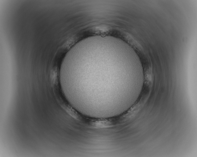 X0000111120468200907141154