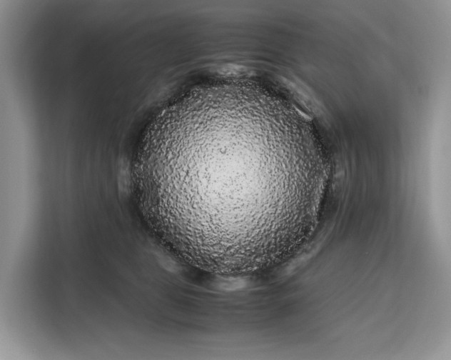 X0000111120469200907141154