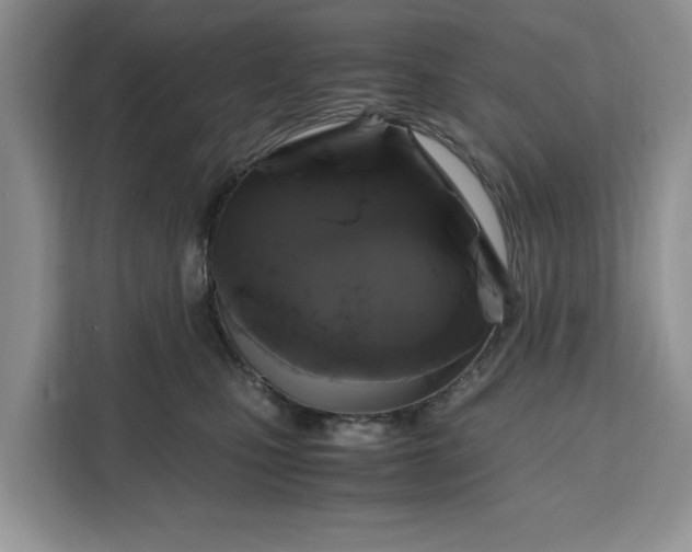 X0000111120471200907141154