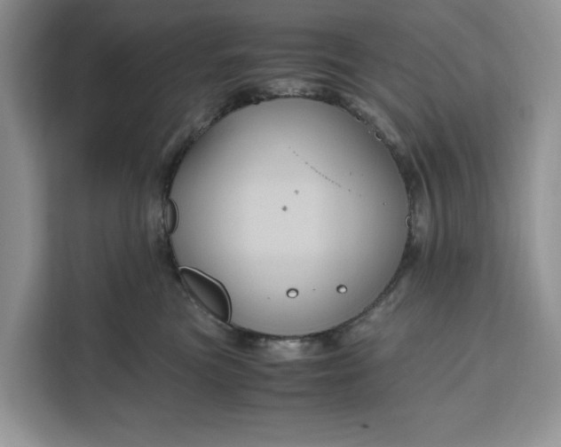 X0000111120473200907141154