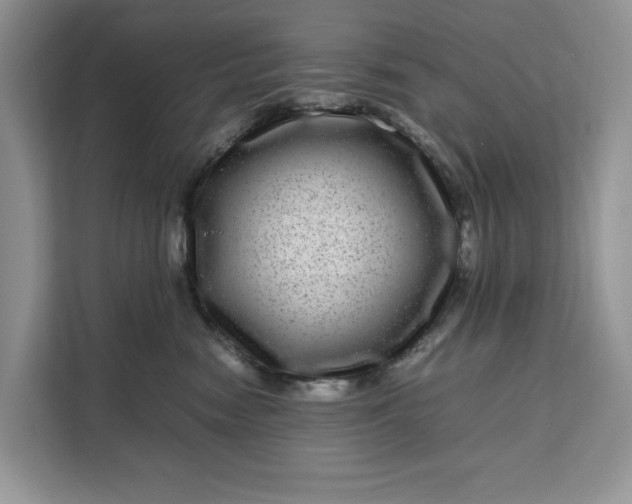 X0000111120474200907141154