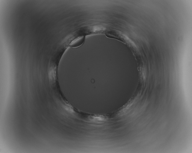 X0000111120475200907141154