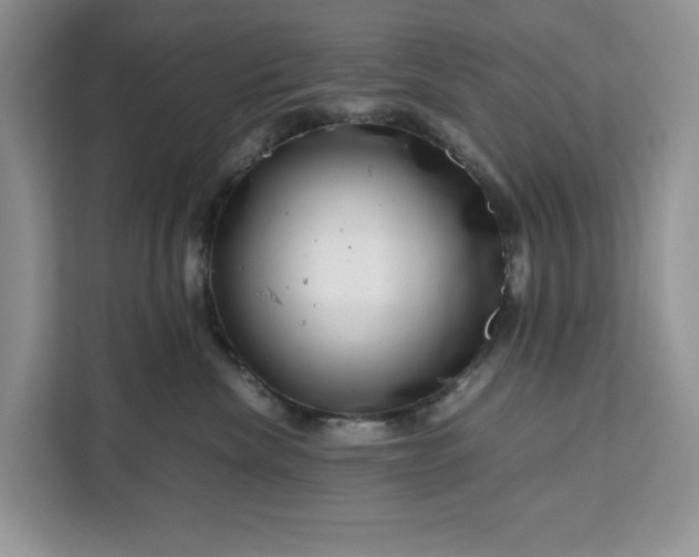 X0000111120476200907141154