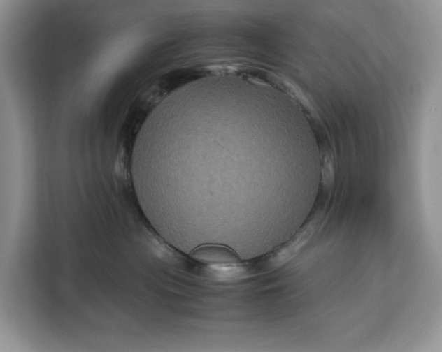 X0000111120477200907141154