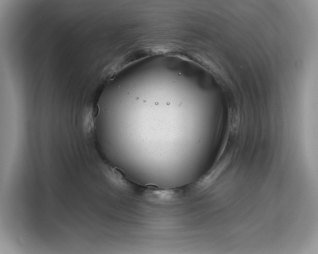 X0000111120478200907141154