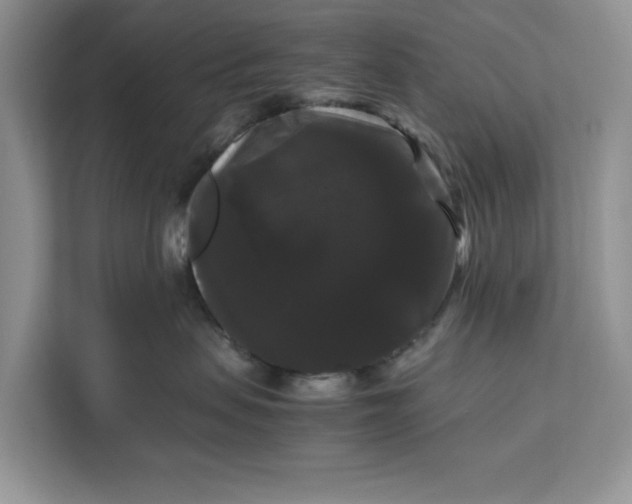 X0000111120479200907141154