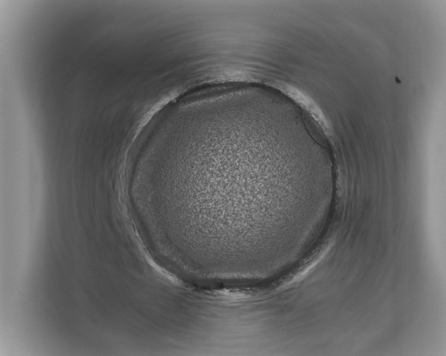 X0000111120481200907141154