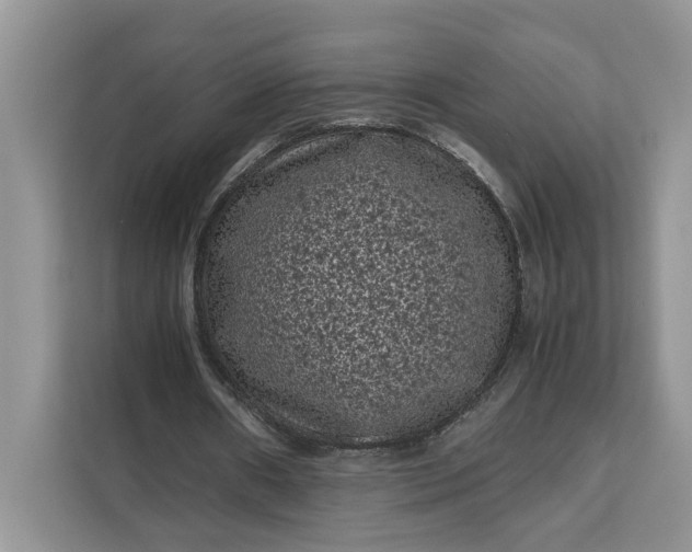 X0000111120482200907141154