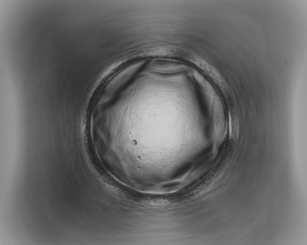 X0000111120483200907141154