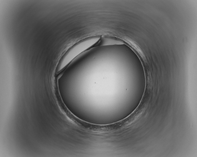 X0000111120485200907141154