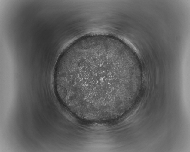 X0000111120487200907141154