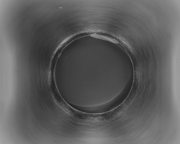 X0000111120488200907141154