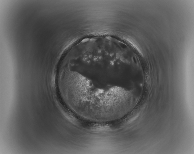 X0000111120491200907141154