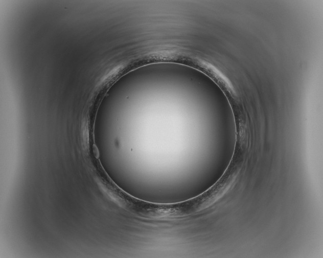 X0000111120493200907141154