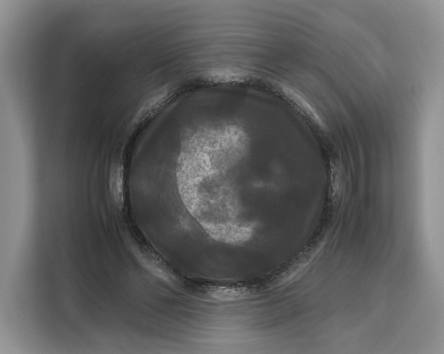 X0000111120494200907141154