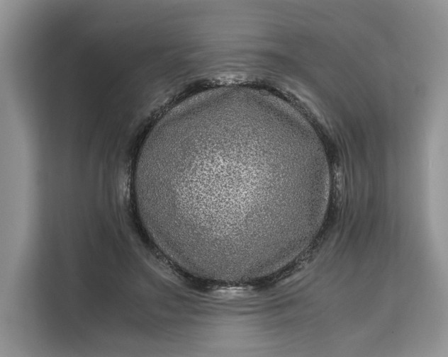 X0000111120499200907141153