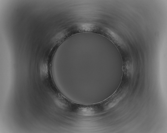 X0000111120500200907141153