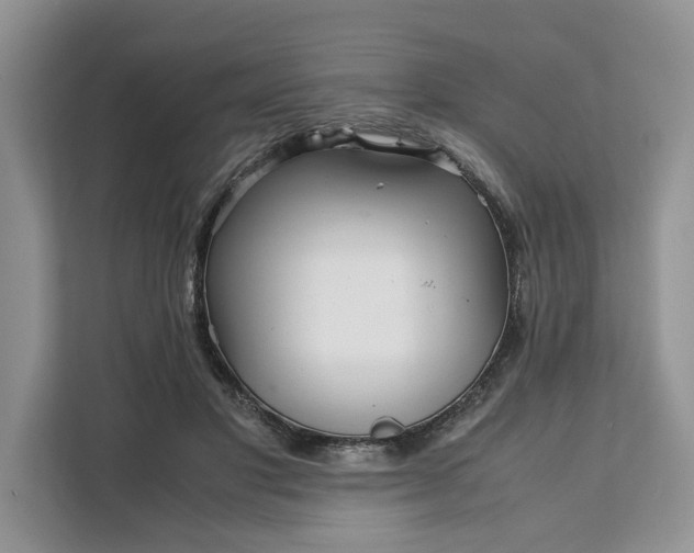 X0000111120501200907141153