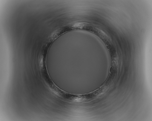 X0000111120504200907141153