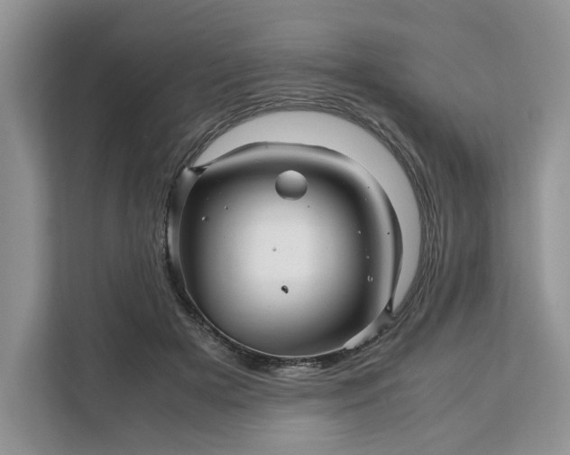 X0000111120505200907141153