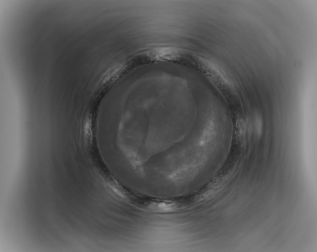 X0000111120506200907141153