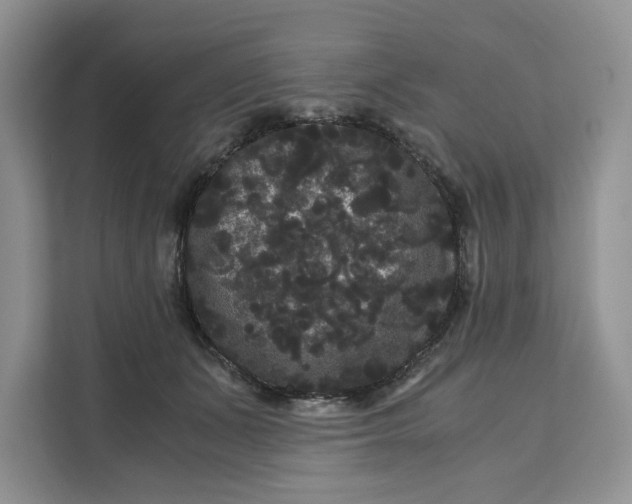 X0000111120511200907141153