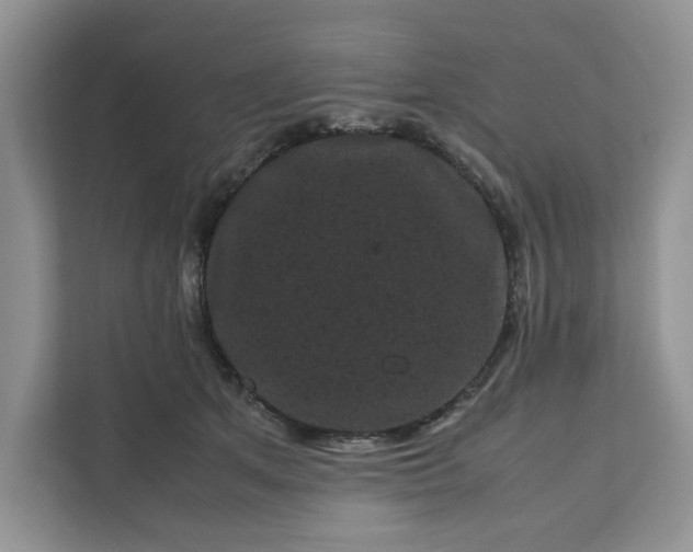 X0000111120513200907141153