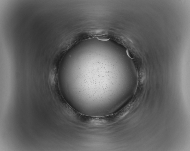 X0000111120515200907141153