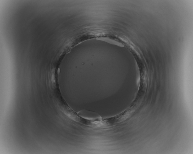 X0000111120516200907141153